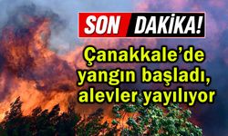 Çanakkale’de yangın başladı, alevler yayılıyor