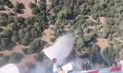 Çanakkale'deki orman yangınına havadan ve karadan müdahale sürüyor (Video)