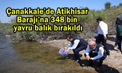 Atikhisar Barajı’na 348 bin yavru balık bırakıldı