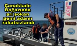 Çanakkale Boğazında arı sokan gemi adamı rahatsızlandı