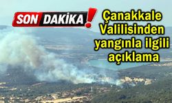 Çanakkale Valilisinden yangınla ilgili açıklama