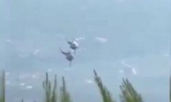 Yunanistan’da iki yangın söndürme helikopteri havada çarpıştı (Video)
