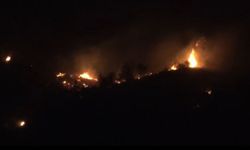Çanakkale Ezine'deki orman yangı ile ilgili son gelişme (Video)