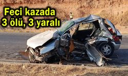 Feci kazada 3 ölü, 3 yaralı (Video)