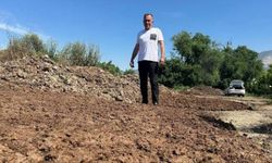 Sıfır kimyasal sıfır maliyet: Bedava hayvansal gübreyle üretim yapıyor (Video)