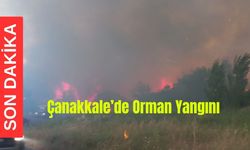 Son Dakika! Çanakkale'de orman yangını (Video)