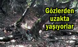 Gözlerden uzakta yaşıyorlar (Video)