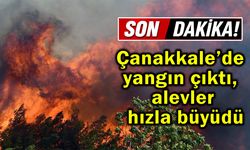 Çanakkale’de yangın çıktı, alevler hızla büyüdü