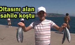 Oltasını alan sahile koştu! Palamut akını (Video)