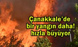 Çanakkale'de hızla büyüyen yangın (Video)