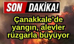 Çanakkale'de yangın! Alevler rüzgarla büyüyor...