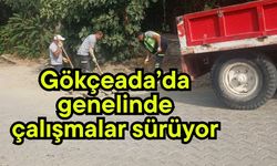 Gökçeada’da genelinde çalışmalar sürüyor
