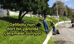Gelibolu’nun dört bir yanında çalışmalar sürüyor