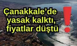 Çanakkale’de yasak kalktı, fiyatlar düştü!