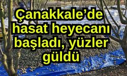 Çanakkale’de hasat heyecanı başladı, yüzler güldü