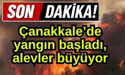 Çanakkale’de yangın başladı, alevler büyüyor!