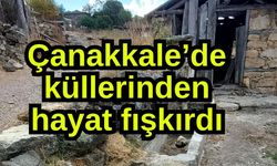 Çanakkale’de küllerinden hayat fışkırdı