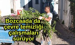 Bozcaada’da çevre temizliği çalışmaları sürüyor