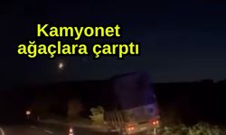 Kamyonet ağaçlara çarptı