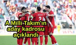 A Milli Takım'ın aday kadrosu açıklandı