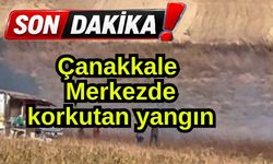 Çanakkale Merkezde korkutan yangın