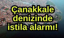 Çanakkale denizinde istila alarmı! (Video)