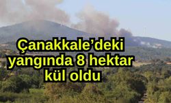 Çanakkale’deki yangında 8 hektar kül oldu