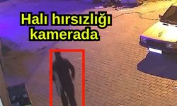 Halı hırsızlığı kamerada (Video)