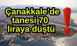 Çanakkale’de tanesi 70 liraya düştü!