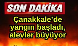 Çanakkale’de yangın başladı, alevler büyüyor