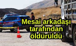 Mesai arkadaşı tarafından öldürüldü