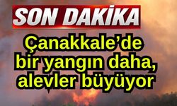 Çanakkale’de bir yangın daha, alevler büyüyor