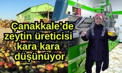 Çanakkale’de zeytin üreticisi kara kara düşünüyor (Video)