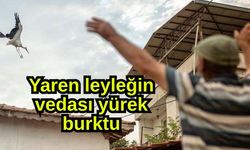 Yaren leyleğin vedası yürek burktu