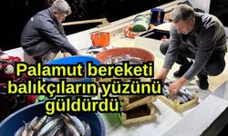 Palamut bereketi balıkçıların yüzünü güldürdü (Video)