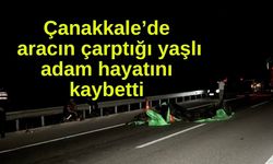 Çanakkale’de aracın çarptığı yaşlı adam hayatını kaybetti (Video)