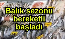 Balık sezonu bereketli başladı (Video)