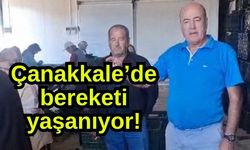 Çanakkale’de bereketi yaşanıyor!