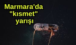 Marmara'da "kısmet" yarışı (Video)