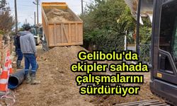 Gelibolu'da ekipler sahada çalışmalarını sürdürüyor
