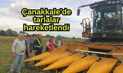 Çanakkale'de tarlalar hareketlendi