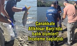 Çanakkale Atikhisar Barajı'nda balık ölümleri!