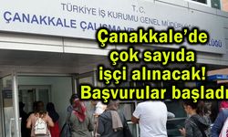 Çanakkale’de çok sayıda işçi alınacak! Başvurular başladı