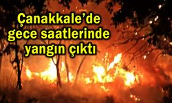 Çanakkale’de gece saatlerinde yangın çıktı
