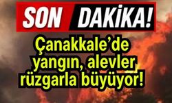 Çanakkale'de yangın! Alevler rüzgarla büyüyor