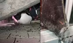 Çanakkale'de apartman boşluğuna düşen yavru kedi böyle kurtarıldı (Video)