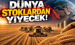 Tahılda düşüş beklentisi; dünya stoklardan yiyecek (Video)