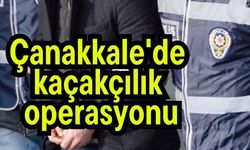 Çanakkale'de kaçakçılık operasyonu