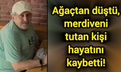 Ağaçtan düştü, merdiveni tutan kişi hayatını kaybetti!