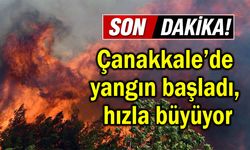 Çanakkale’de yangın başladı, hızla büyüyor